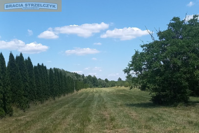 Działka Sprzedaż Nowe Wrońska